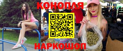 гидра Моздок