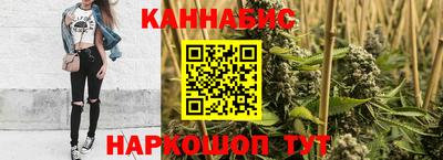 гидра Моздок
