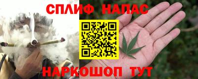 гидра Моздок