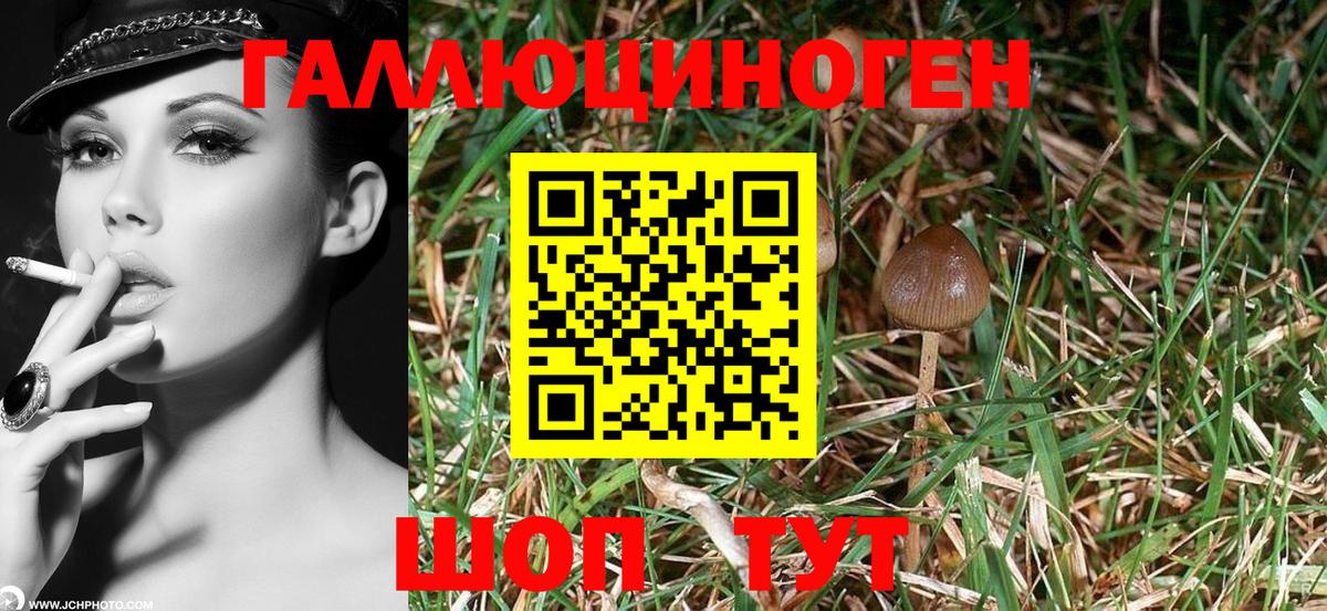 Псилоцибиновые грибы мухоморы  Вход с VPN  Советск 
